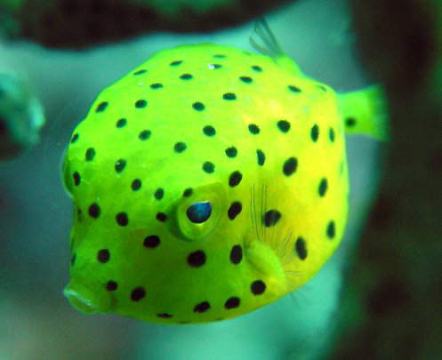 �~�i�~�n�R�t�O