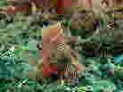 RN`tTJTS