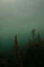 ԒƃTp