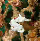 �^�c�m�I�g�V�S