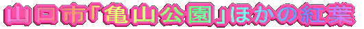RsuTRvق̍gt