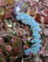 gʕ\  JfmE~EV