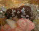gʕ\ XxXx}WEKj