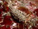 tgK~mE~EV