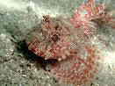 RN`tTJTS