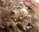 }cJTE~EV