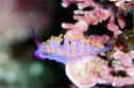 ~`~mE~EV