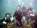 pX^̃v[񂲈sl