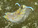 JX~~mE~EV