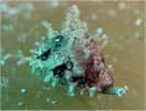 ]NKC̒