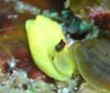 LCE~R`E