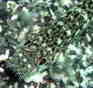 Urn[