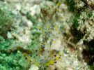 ~Wxjn[