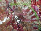 C\M`NGr