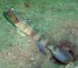 CgqLn[