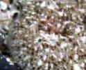 XEVmV^