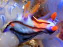 ̃`rbR