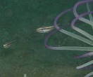 eb|ECV`