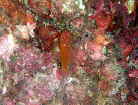xjn[̒