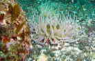 ~hC\M`N
