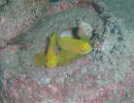 ~Wxjn[