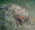 IjIR[