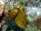 NCV`̋