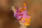 ~`~mE~EV