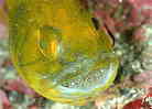 ۈ璆̃NCV`
