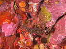 }_M|