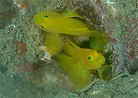 ~Wxjn[