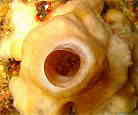 eiKEGrȂ̈