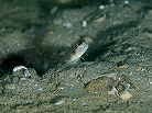 CgqLn[