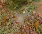 ~mE~EVڂ̈