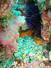 xjcPM|