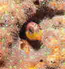 }_M|