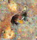 }_M|