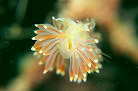 ~mE~EVڂ̈